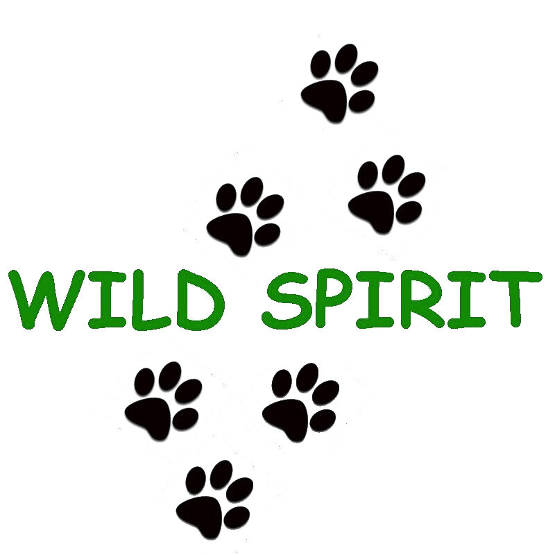 Wild Spirit Education